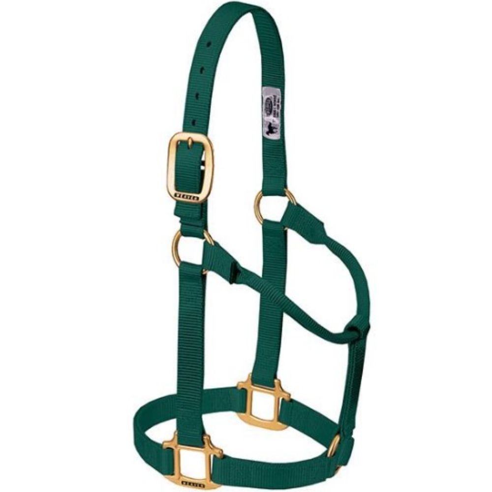 JAQUIMON ORIGINAL WEANLING VERDE