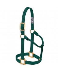JAQUIMON ORIGINAL WEANLING VERDE