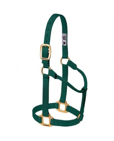 JAQUIMON ORIGINAL YEARLING VERDE