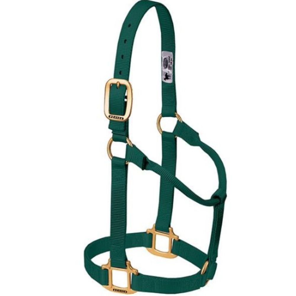 JAQUIMON ORIGINAL YEARLING VERDE