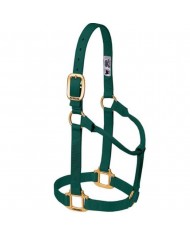 JAQUIMON ORIGINAL YEARLING ROJO