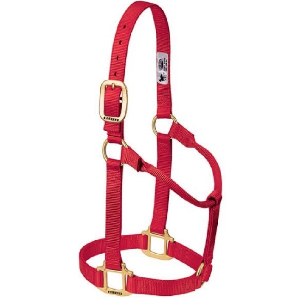 JAQUIMON ORIGINAL YEARLING ROJO