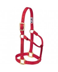 JAQUIMON ORIGINAL YEARLING ROJO
