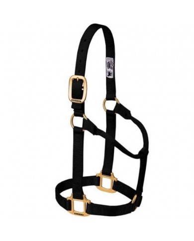 JAQUIMON ORIGINAL YEARLING NEGRO