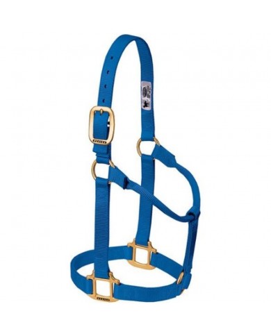 JAQUIMON ORIGINAL YEARLING AZUL
