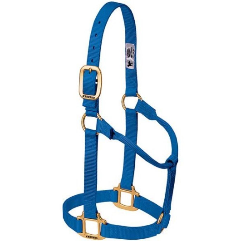 JAQUIMON ORIGINAL YEARLING AZUL