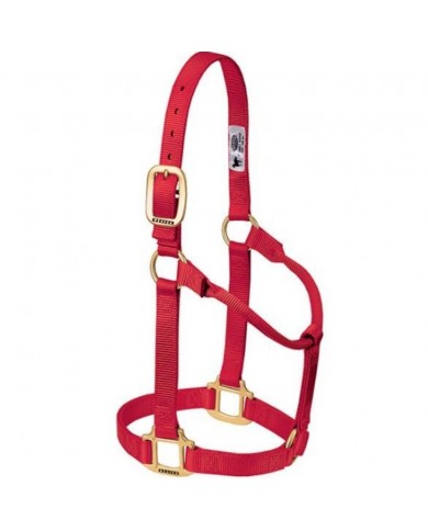 JAQUIMON ORIGINAL WEANLING ROJO