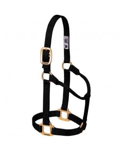 JAQUIMON ORIGINAL WEANLING NEGRO