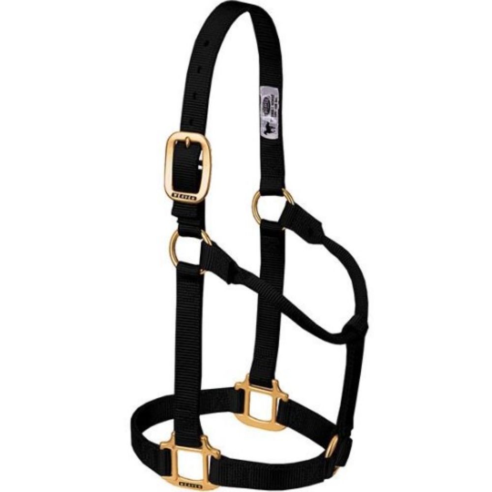 JAQUIMON ORIGINAL WEANLING NEGRO