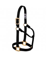 JAQUIMON ORIGINAL WEANLING NAVY