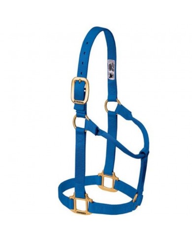 JAQUIMON ORIGINAL WEANLING AZUL