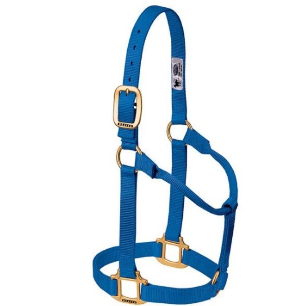 JAQUIMON ORIGINAL WEANLING AZUL