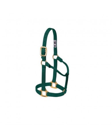 JAQUIMON ORIGINAL SMALL VERDE