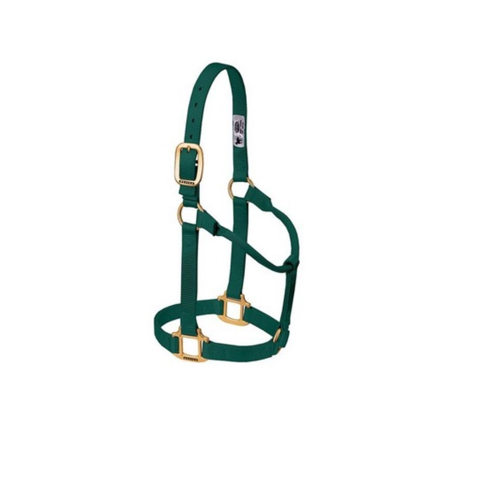 JAQUIMON ORIGINAL SMALL VERDE