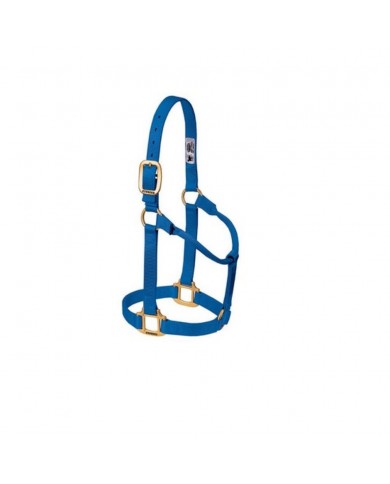 JAQUIMON ORIGINAL SMALL AZUL