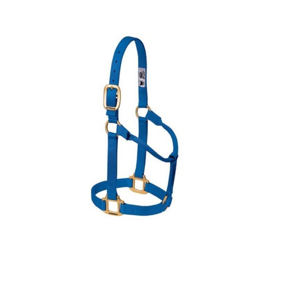 JAQUIMON ORIGINAL SMALL AZUL