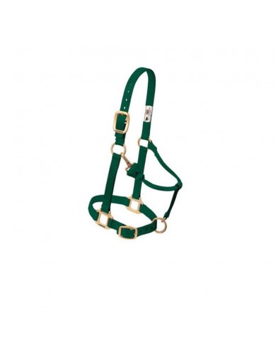 JAQUIMON ORIGINAL REGULABLE YEARLING VERDE