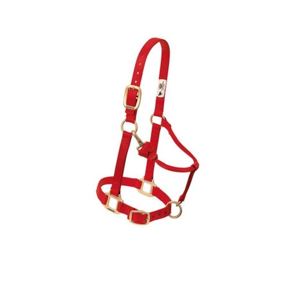 JAQUIMON ORIGINAL REGULABLE YEARLING ROJO