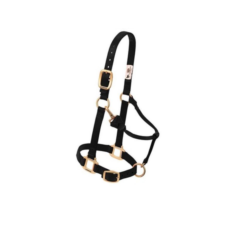 JAQUIMON ORIGINAL REGULABLE YEARLING NEGRO