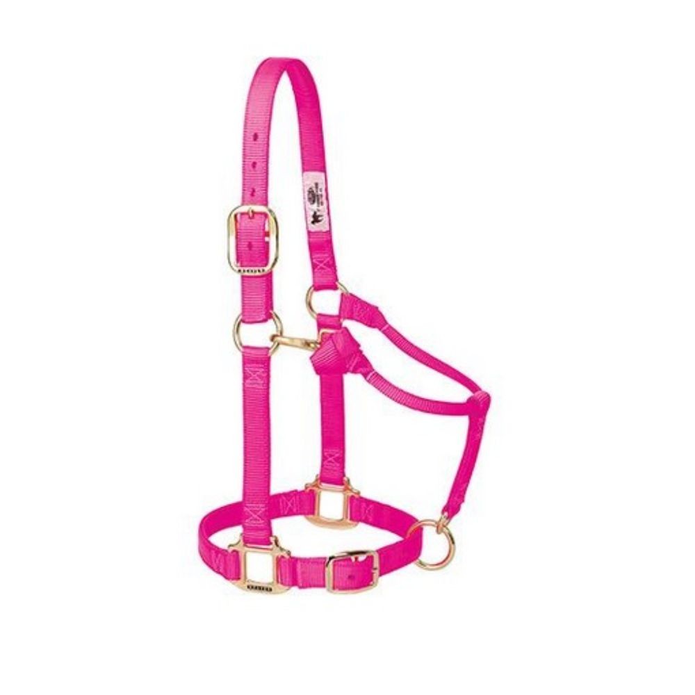 JAQUIMON ORIGINAL REGULABLE AVERAGE FUCSIA