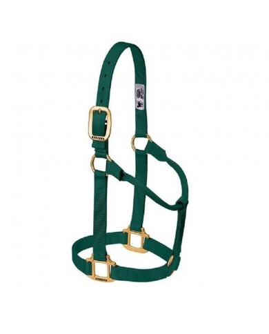 JAQUIMON ORIGINAL AVERAGE VERDE