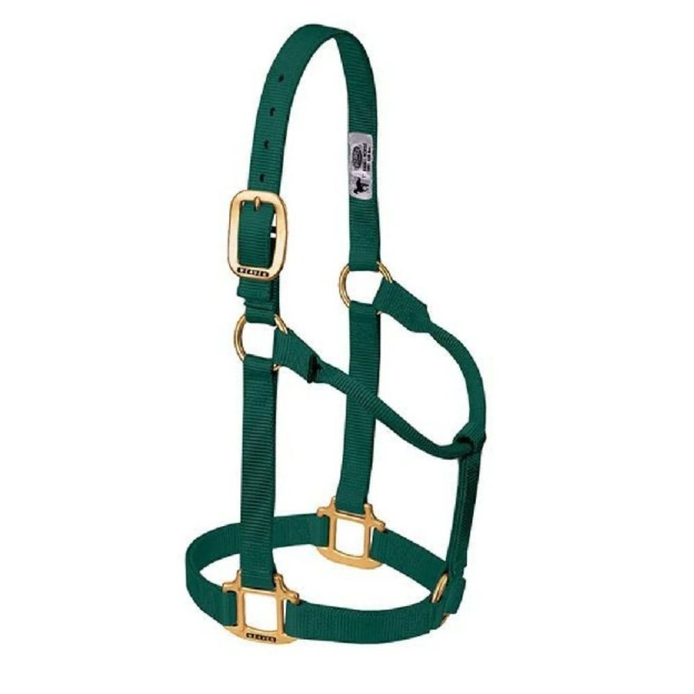 JAQUIMON ORIGINAL AVERAGE VERDE