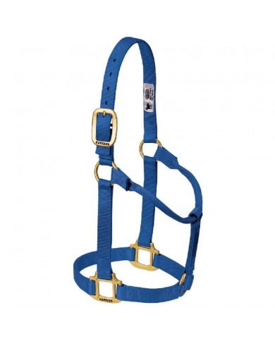JAQUIMON ORIGINAL AVERAGE AZUL