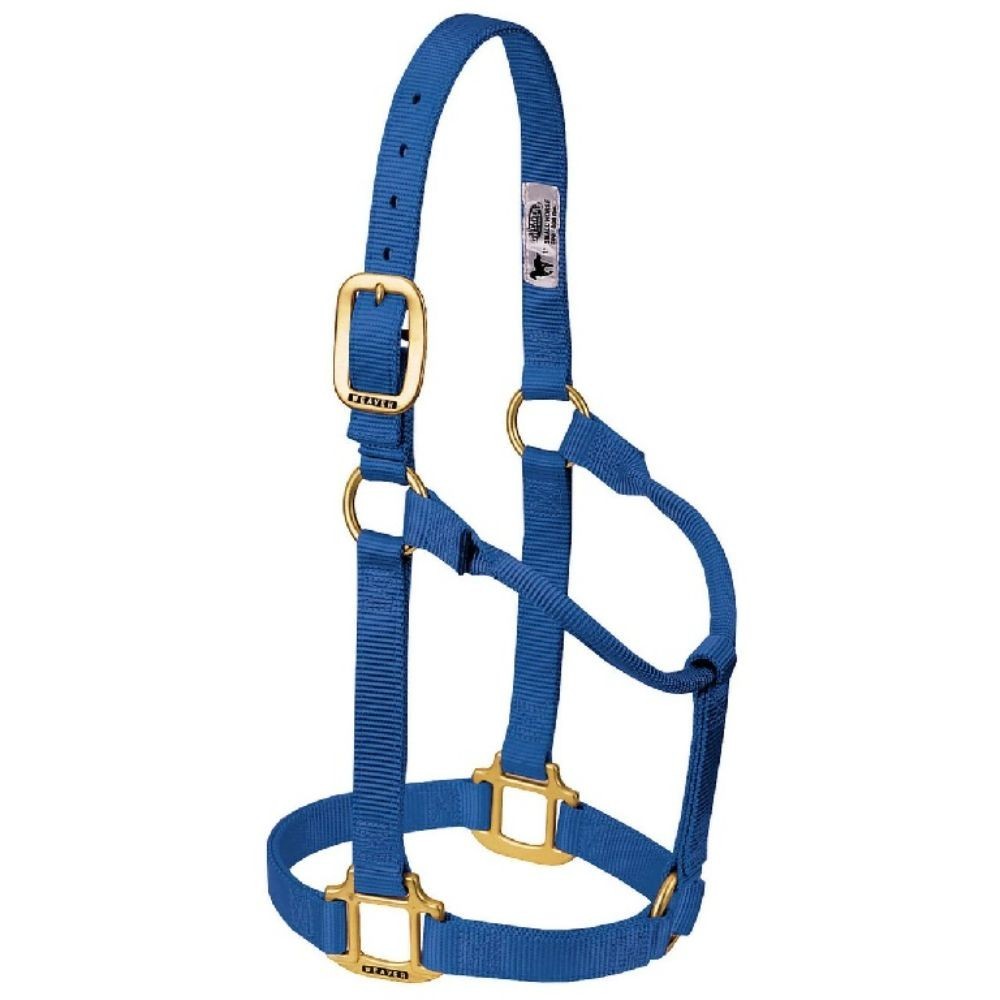 JAQUIMON ORIGINAL AVERAGE AZUL