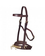 SERRETA EN CUERO PRO